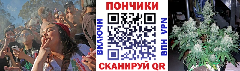 Каннабис планчик Коммунар